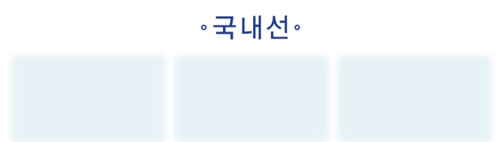 국내선