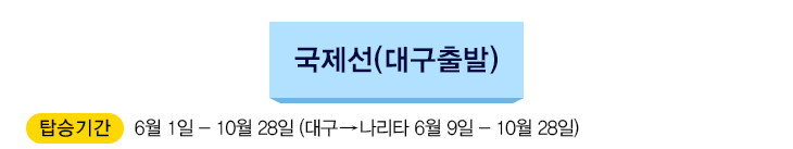 국제선(대구출발)