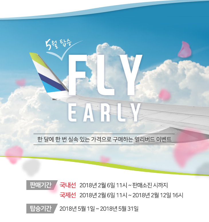 fly joy travel