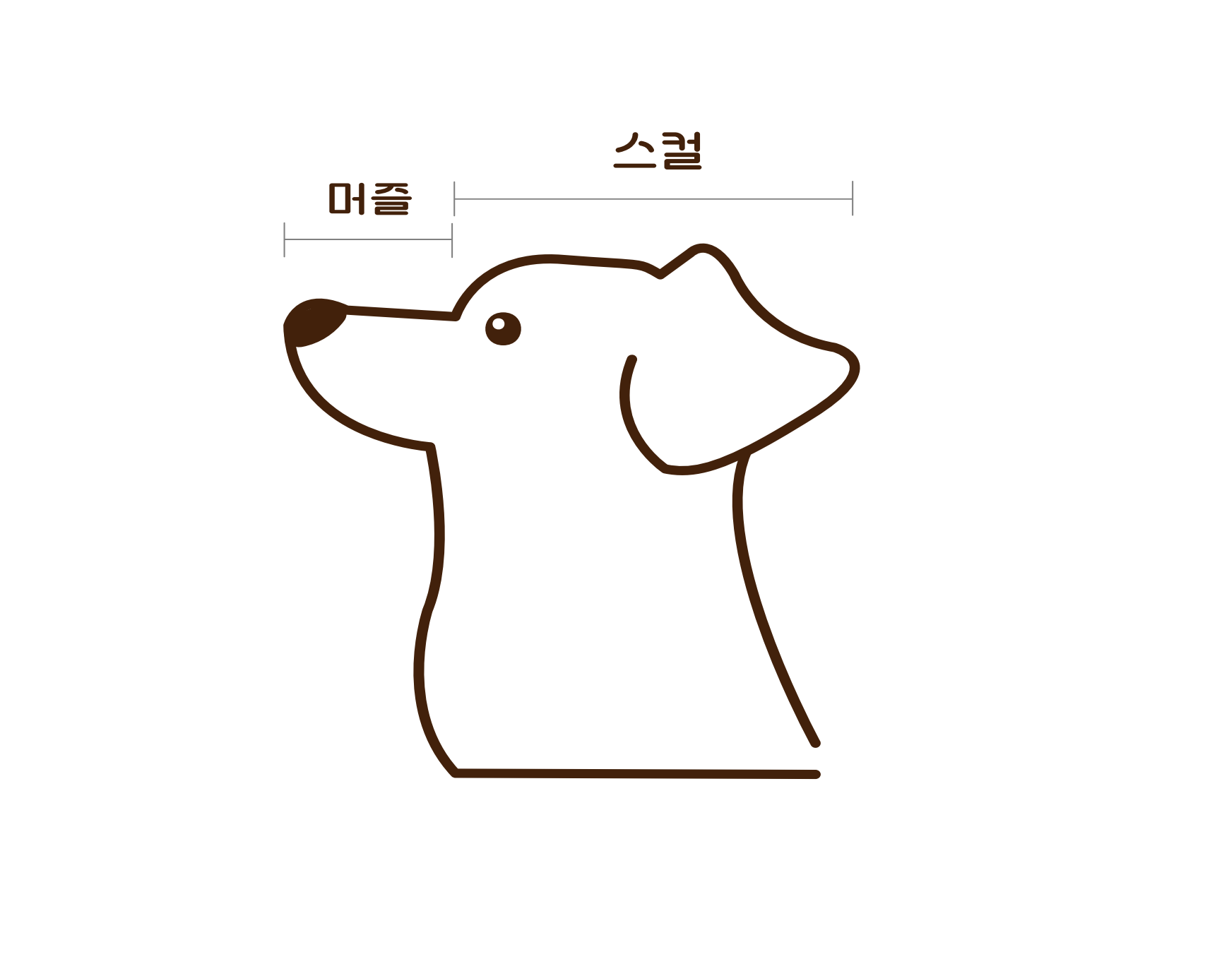 단두종 구분 이미지