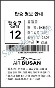 탑승 정보 안내
