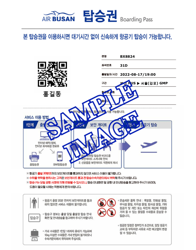 인터넷 탑승권