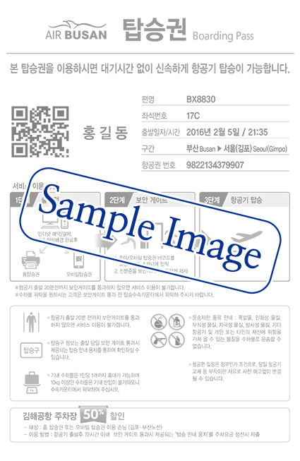 인터넷 탑승권